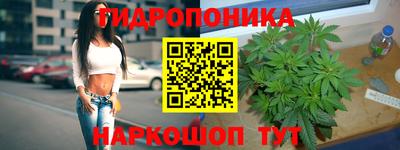 кокс Новодвинск