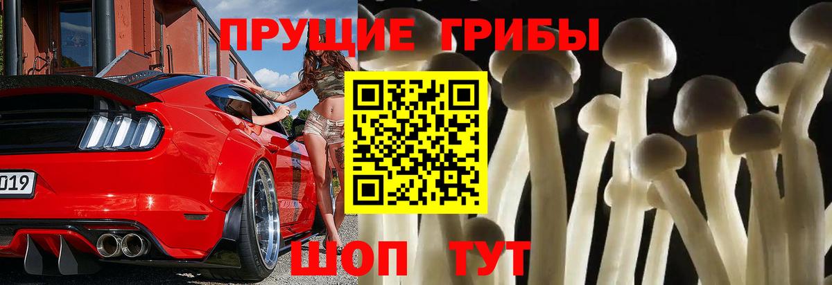 Псилоцибиновые грибы Magic Shrooms  Галлюциногенные грибы GOLDEN TEACHER  Урай  Вход с VPN 